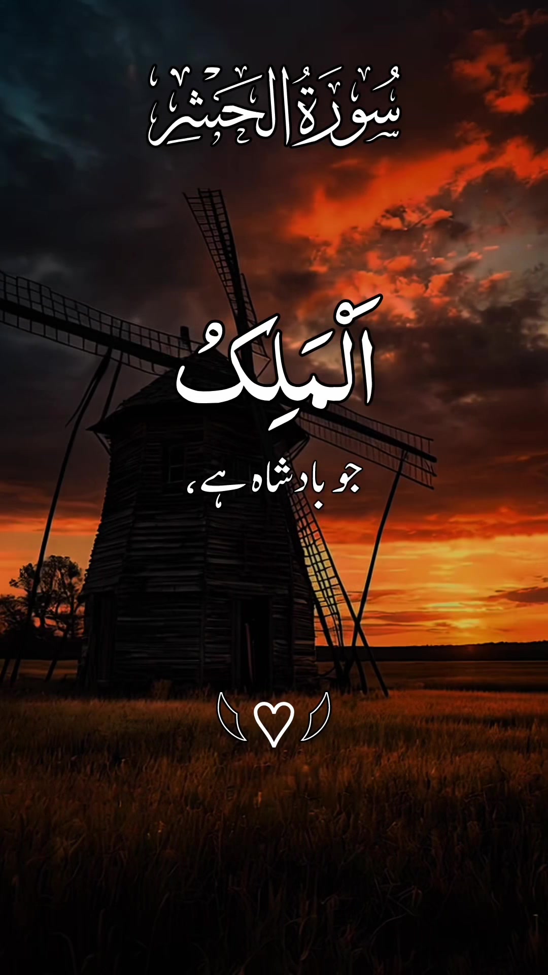 @❣️ Words of Allah ❣️