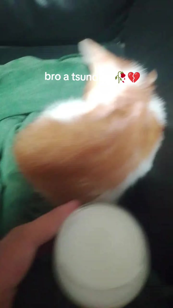 @Tsuyuri^^