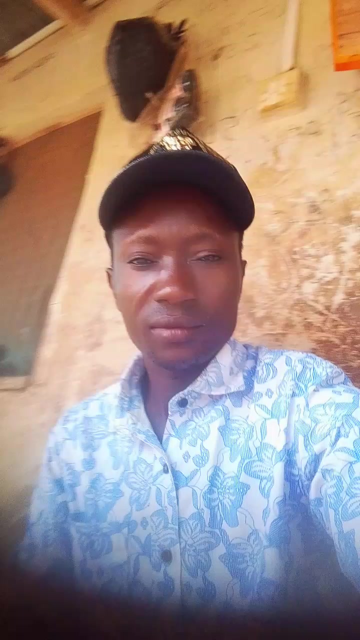 @Apogi