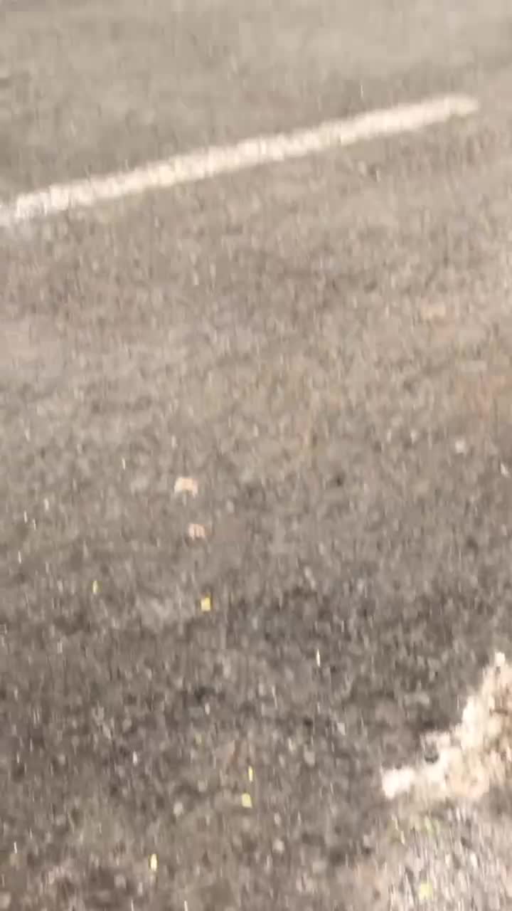 @rejasfaaa