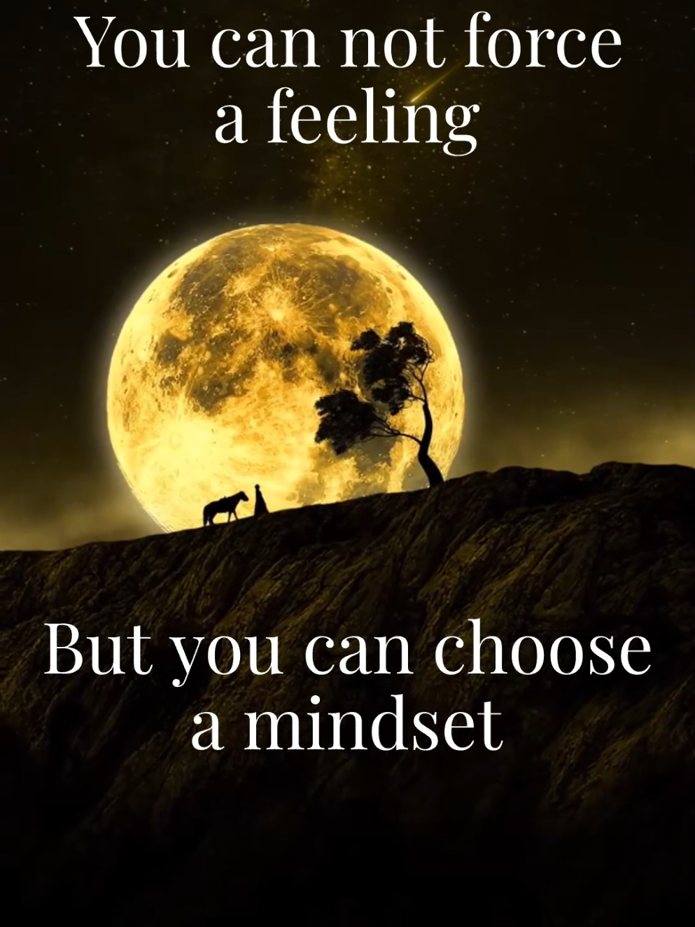 @☆°•♡Adain Holistic Healing♡•°☆