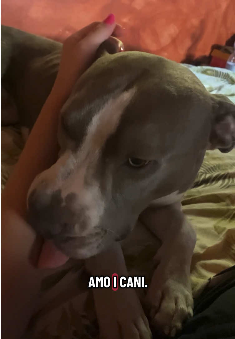 @sabryecasper