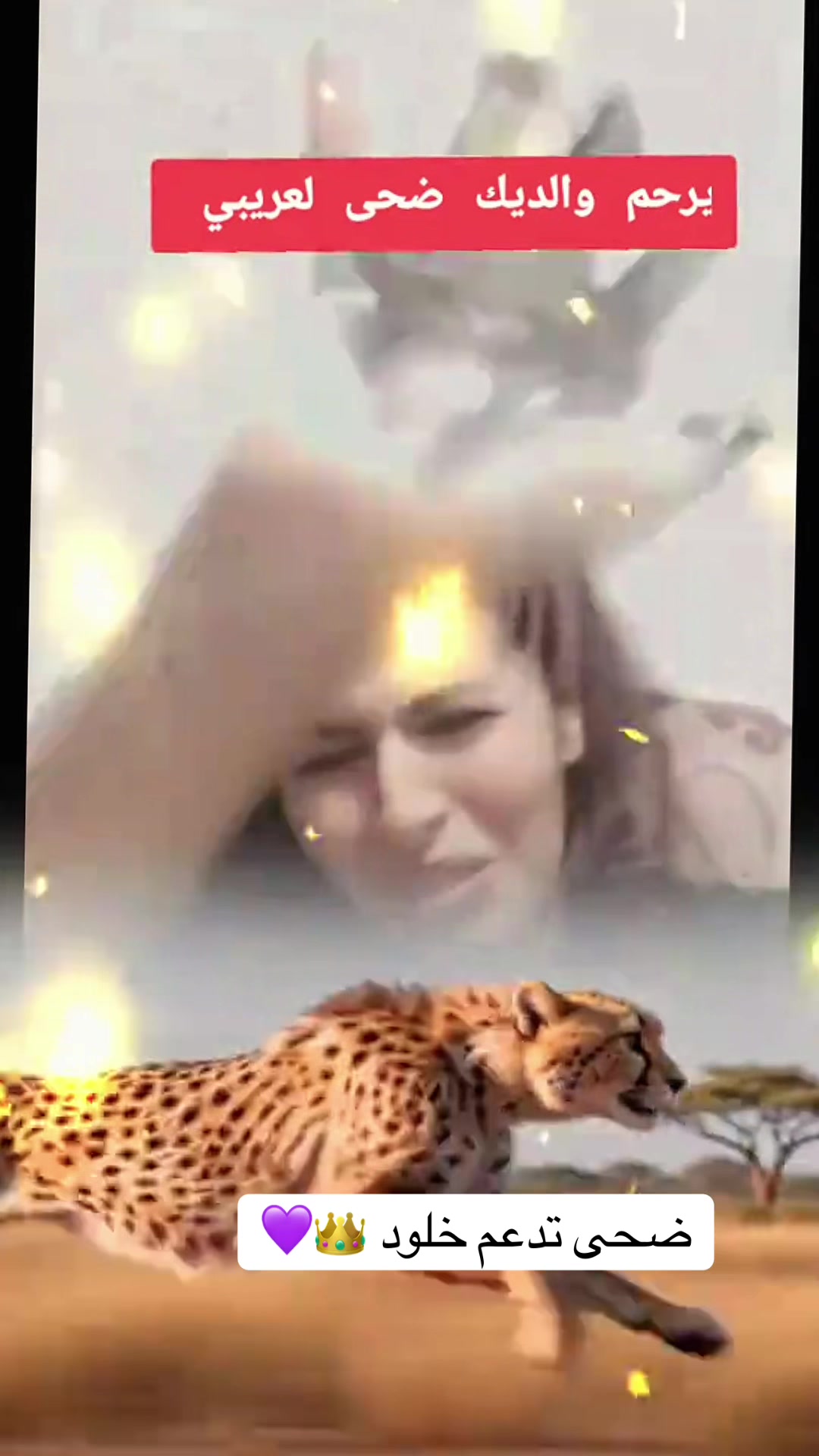 @Môû Fîdâ