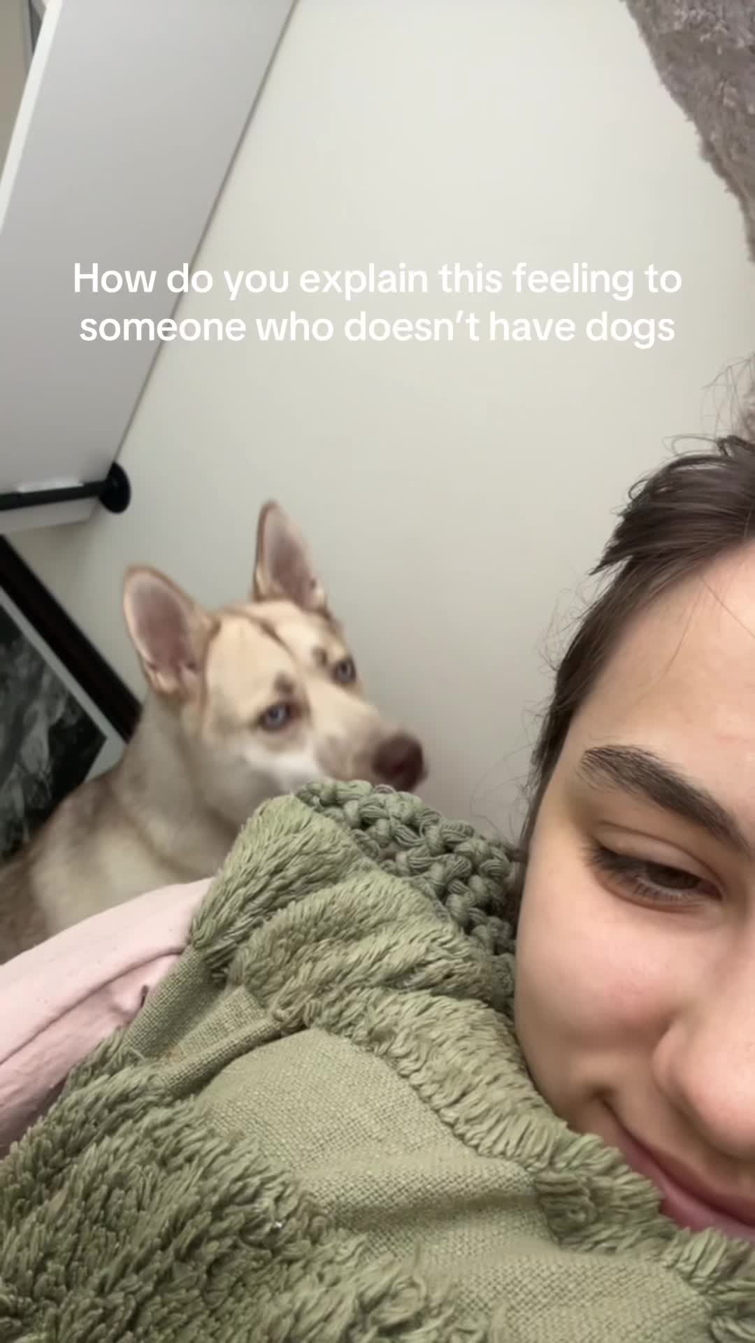@Finn the Shepsky