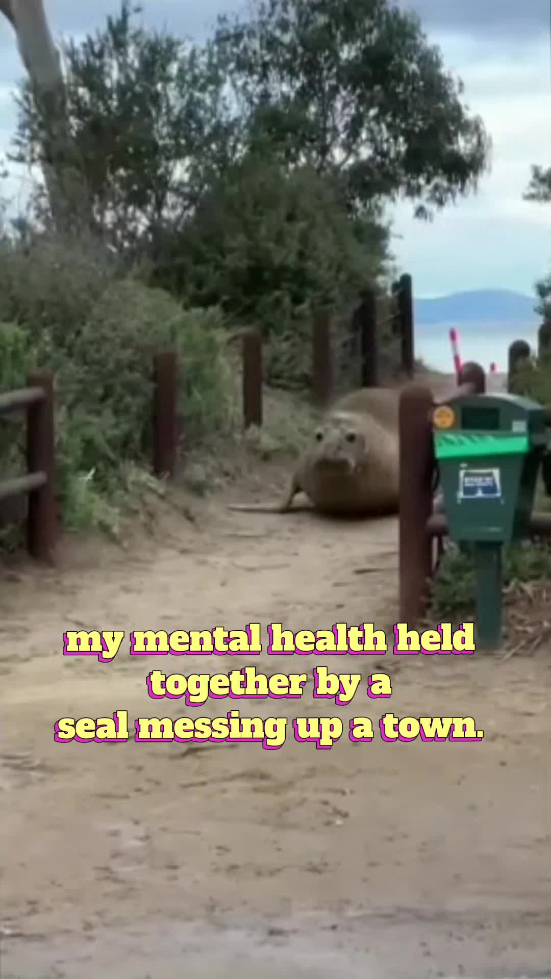 @gamegrubadventures