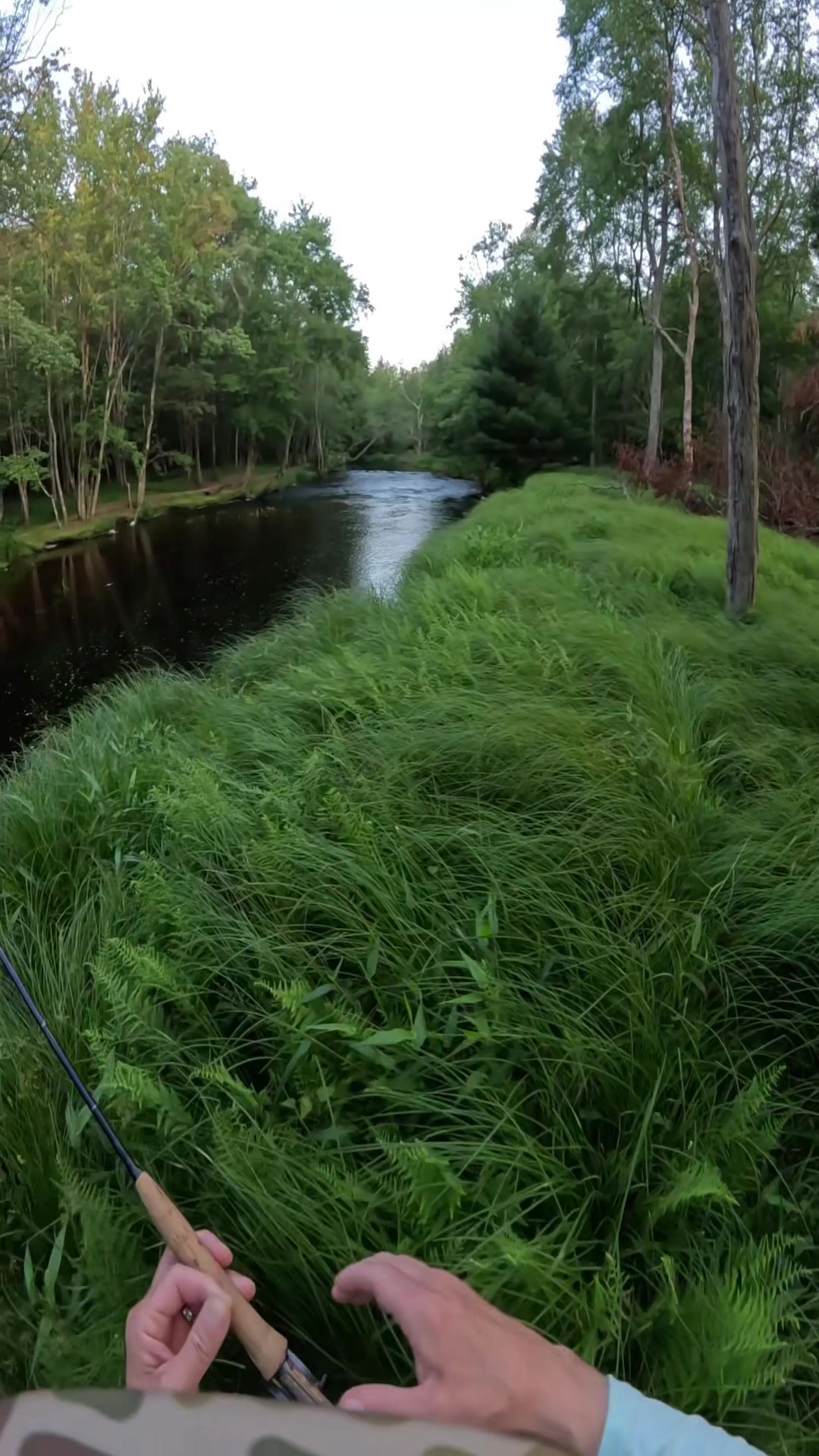 @FlyFishDelawhere