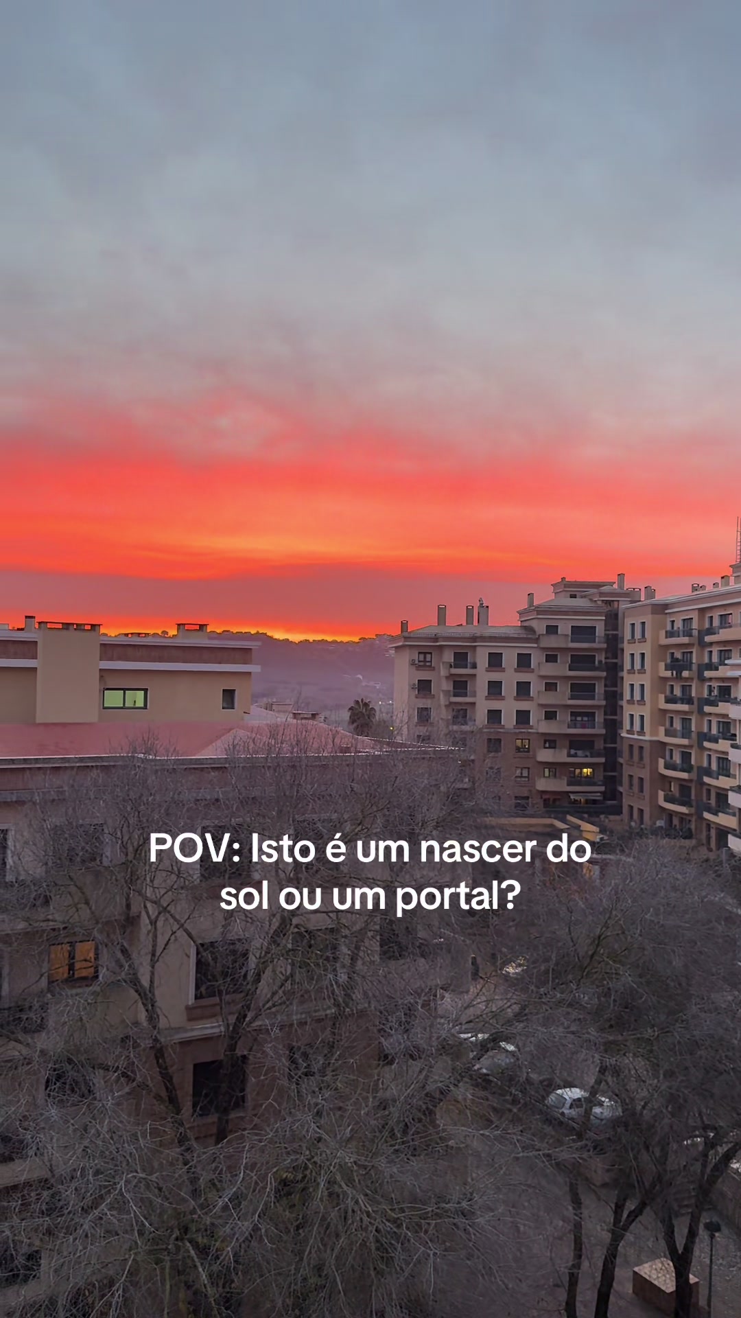 @Susana Dias