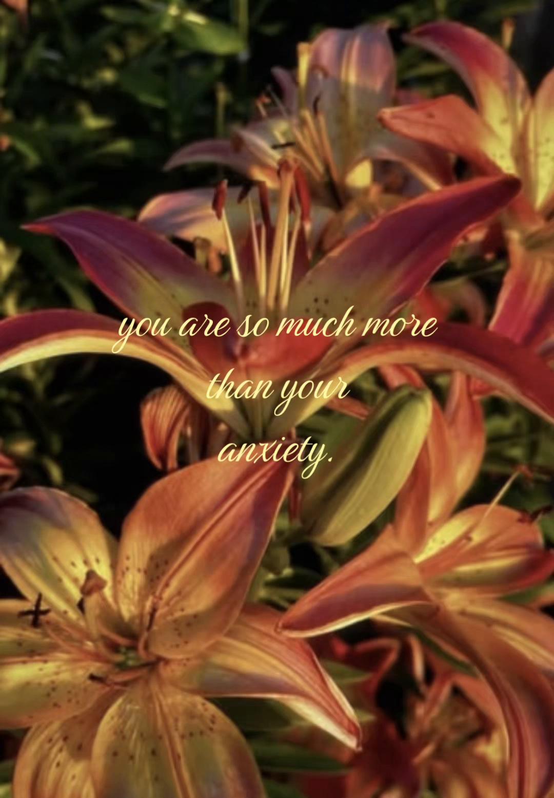 @User Reacts