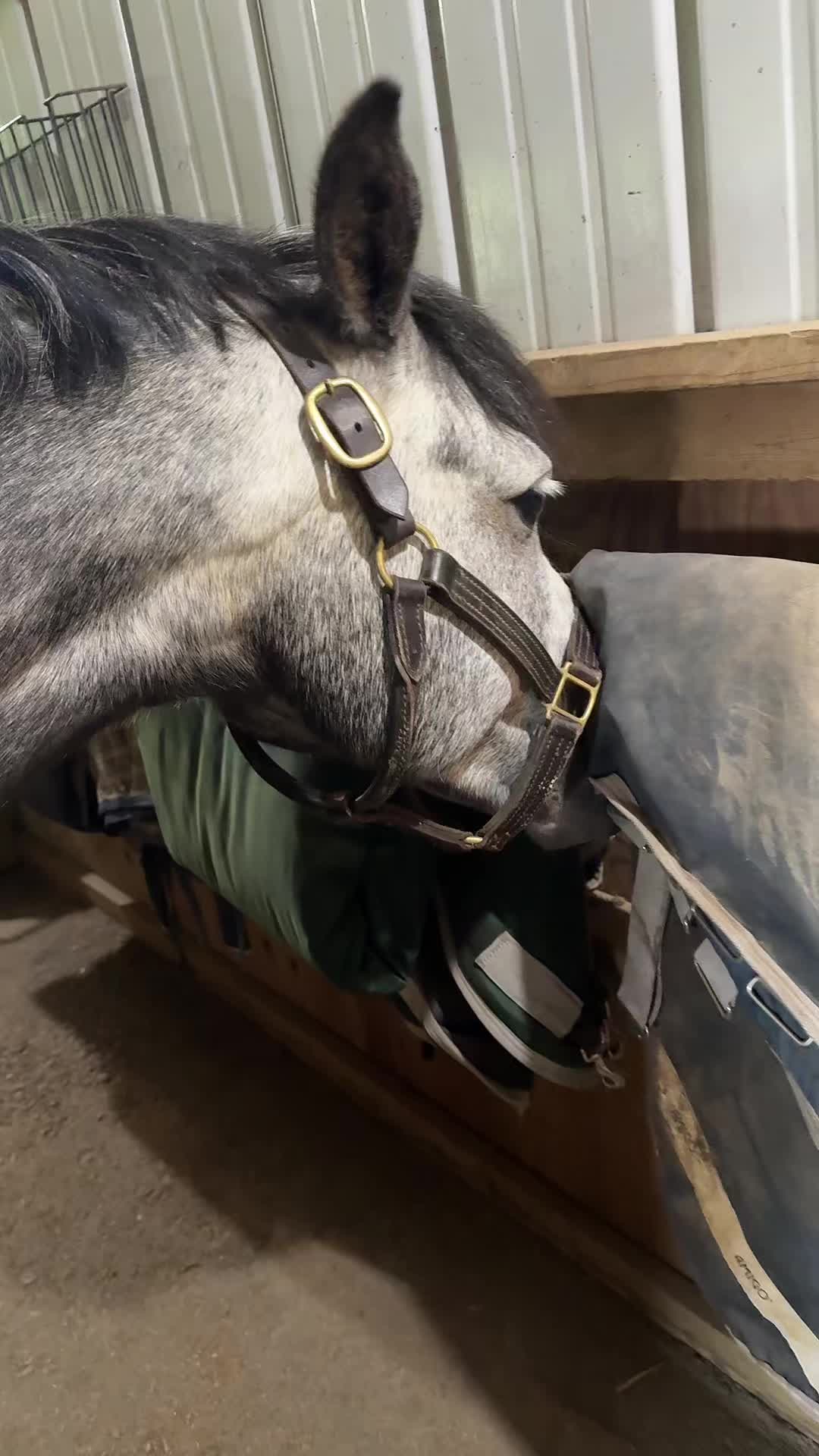@Bianca_eq