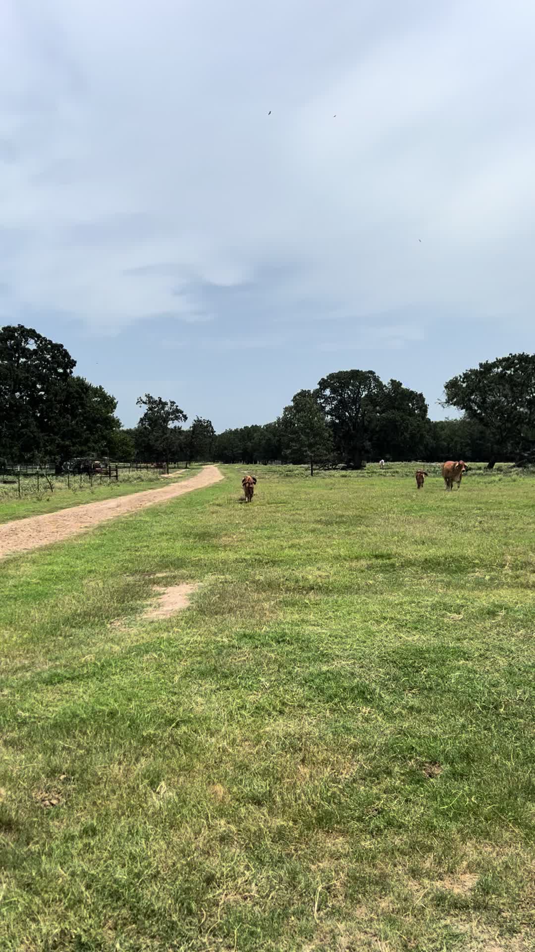 @The V6 Ranch