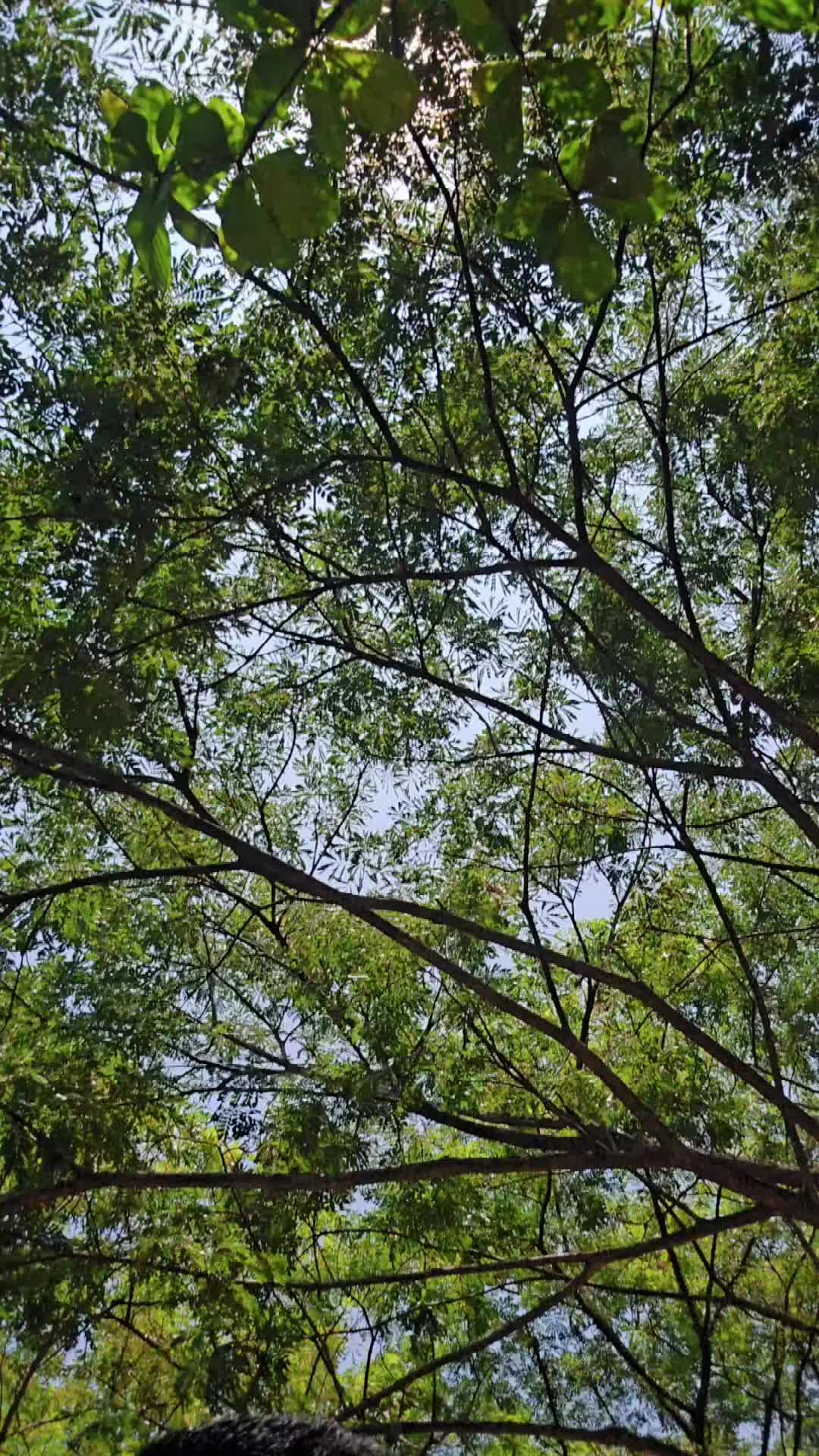 @Sujanlimbu27