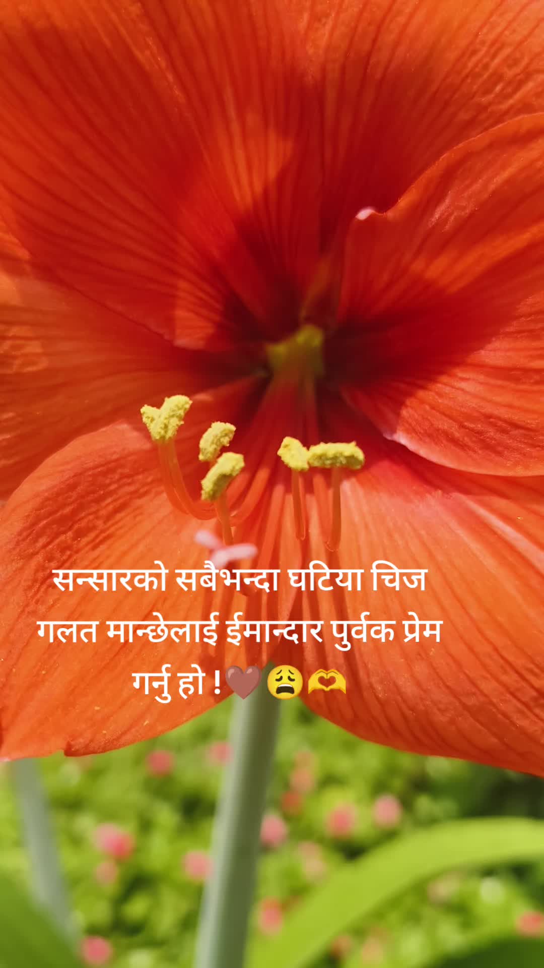 @shreyabogati22