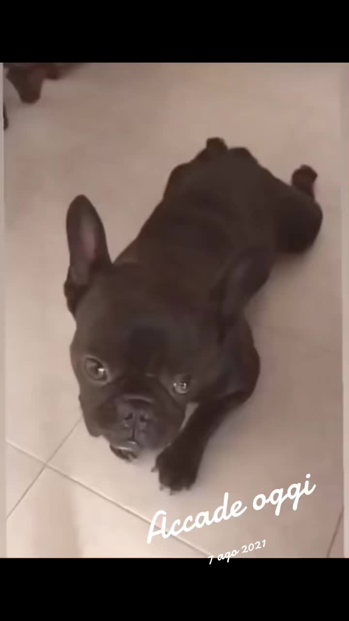@Apolide