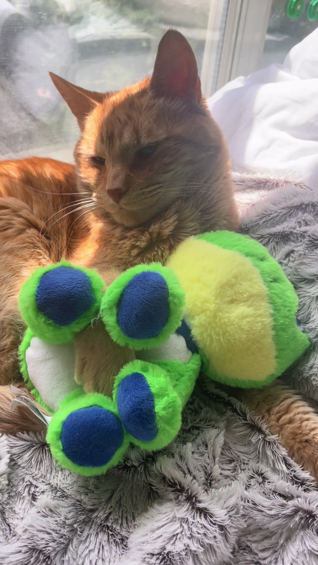 @Pablo & Luigi 🐾