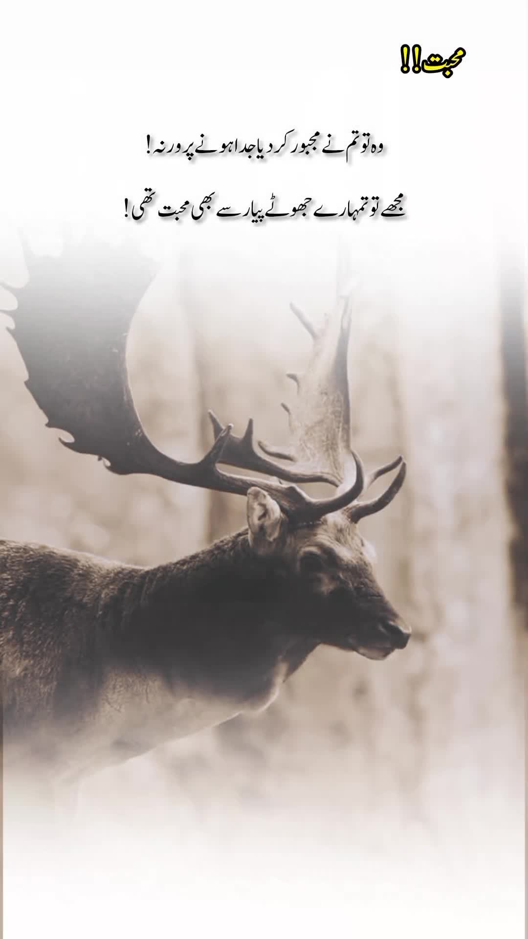 @درد دل