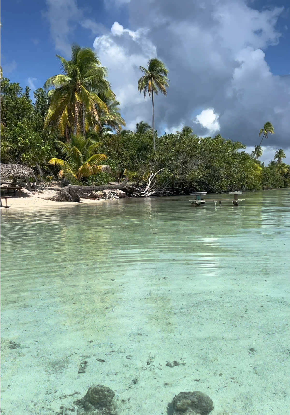 @Marine| Travel Planner Creator
