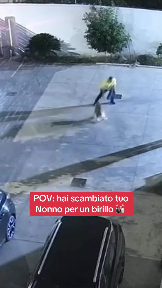 @Omar Domina
