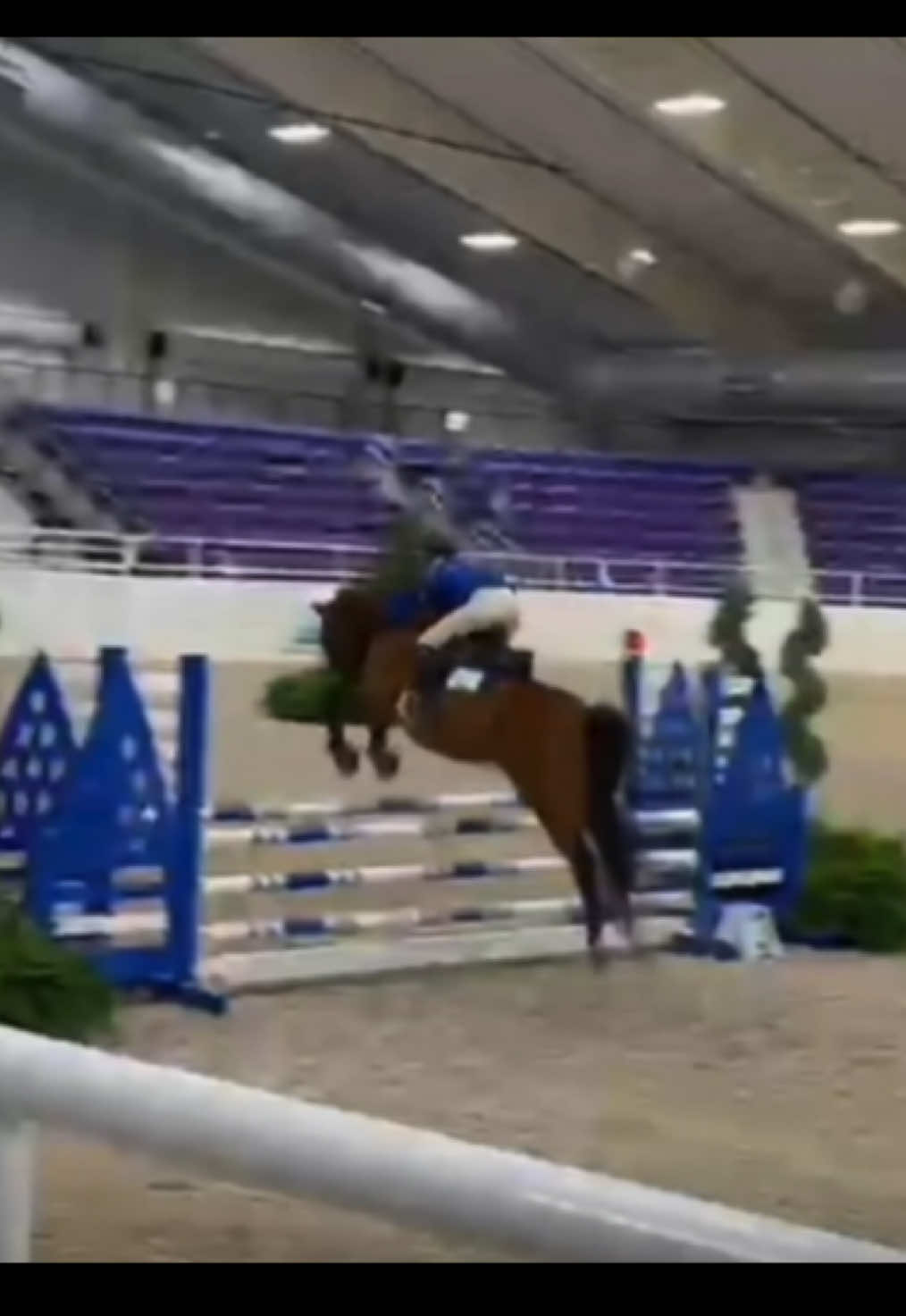 @Bianca