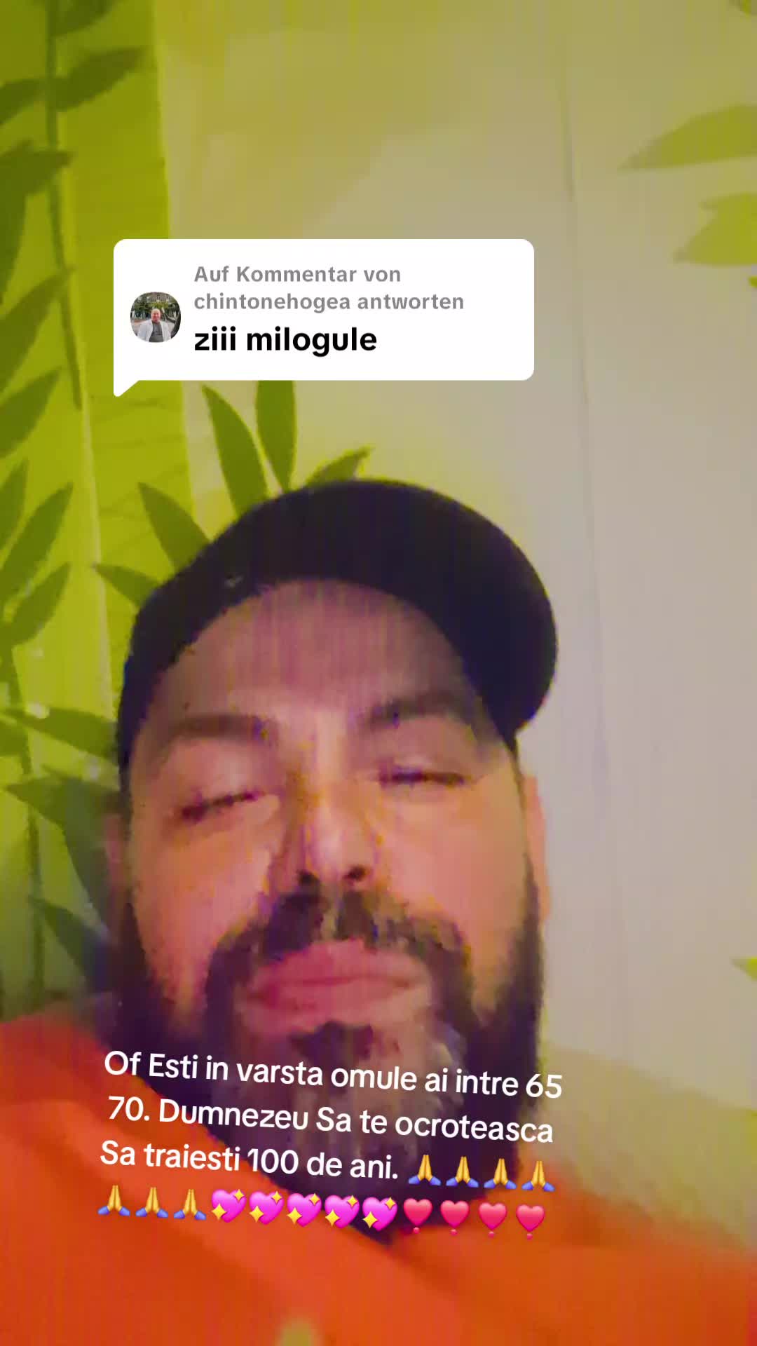 @filipo