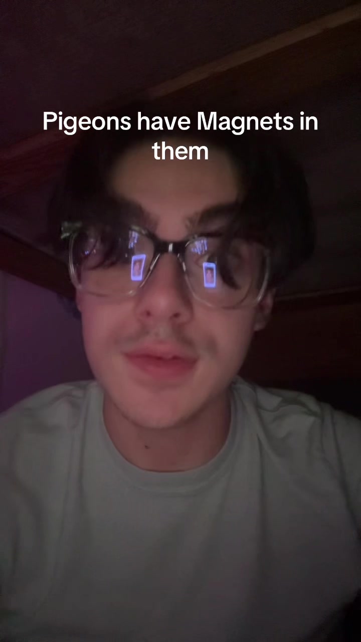 @cheese