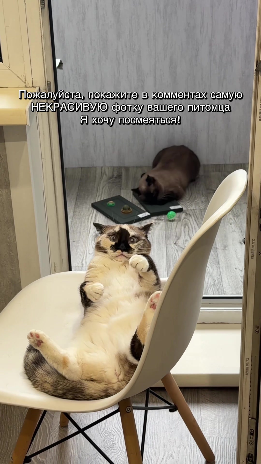 @Настя