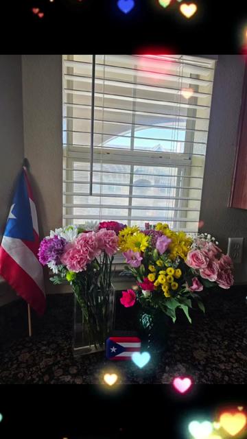 @Dee🇵🇷🩷