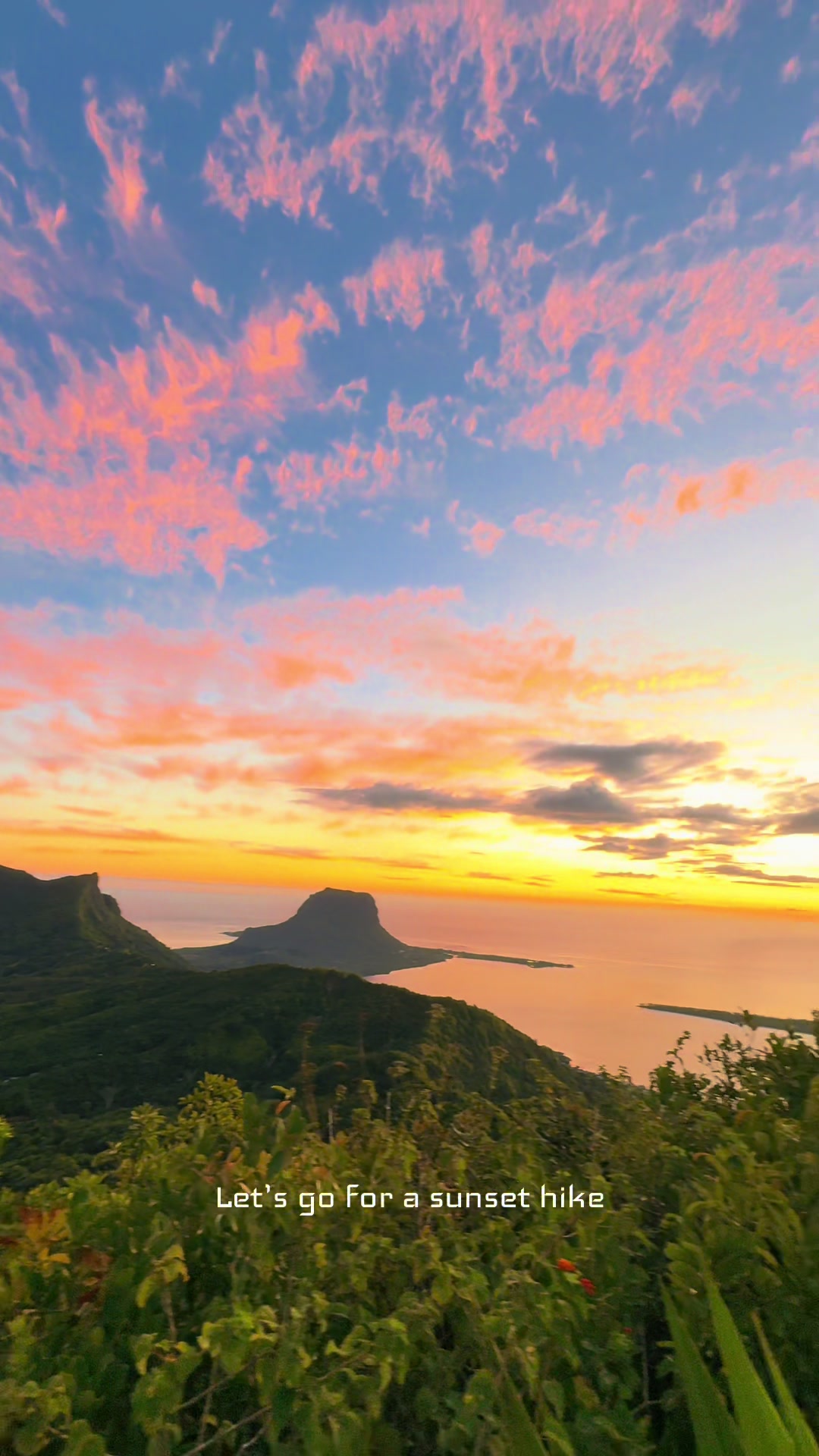 @Mauritius🇲🇺
