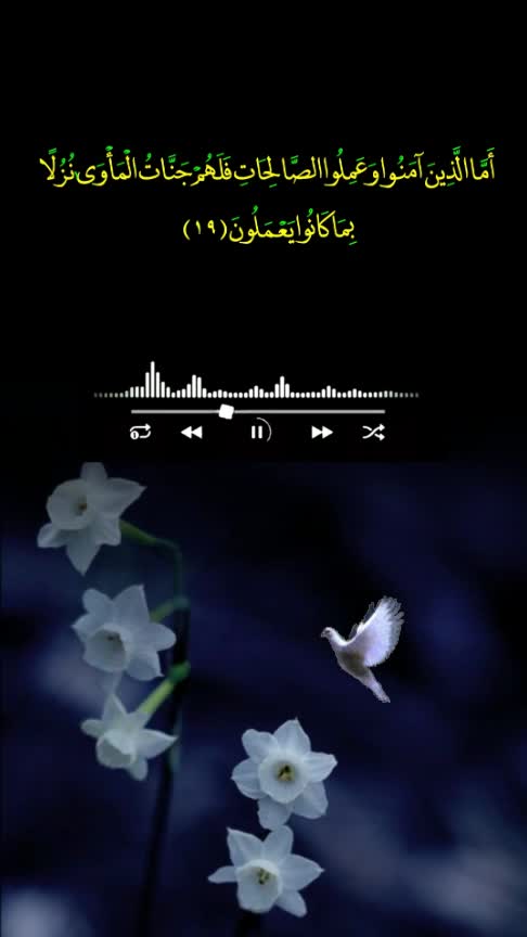 @Youserseef