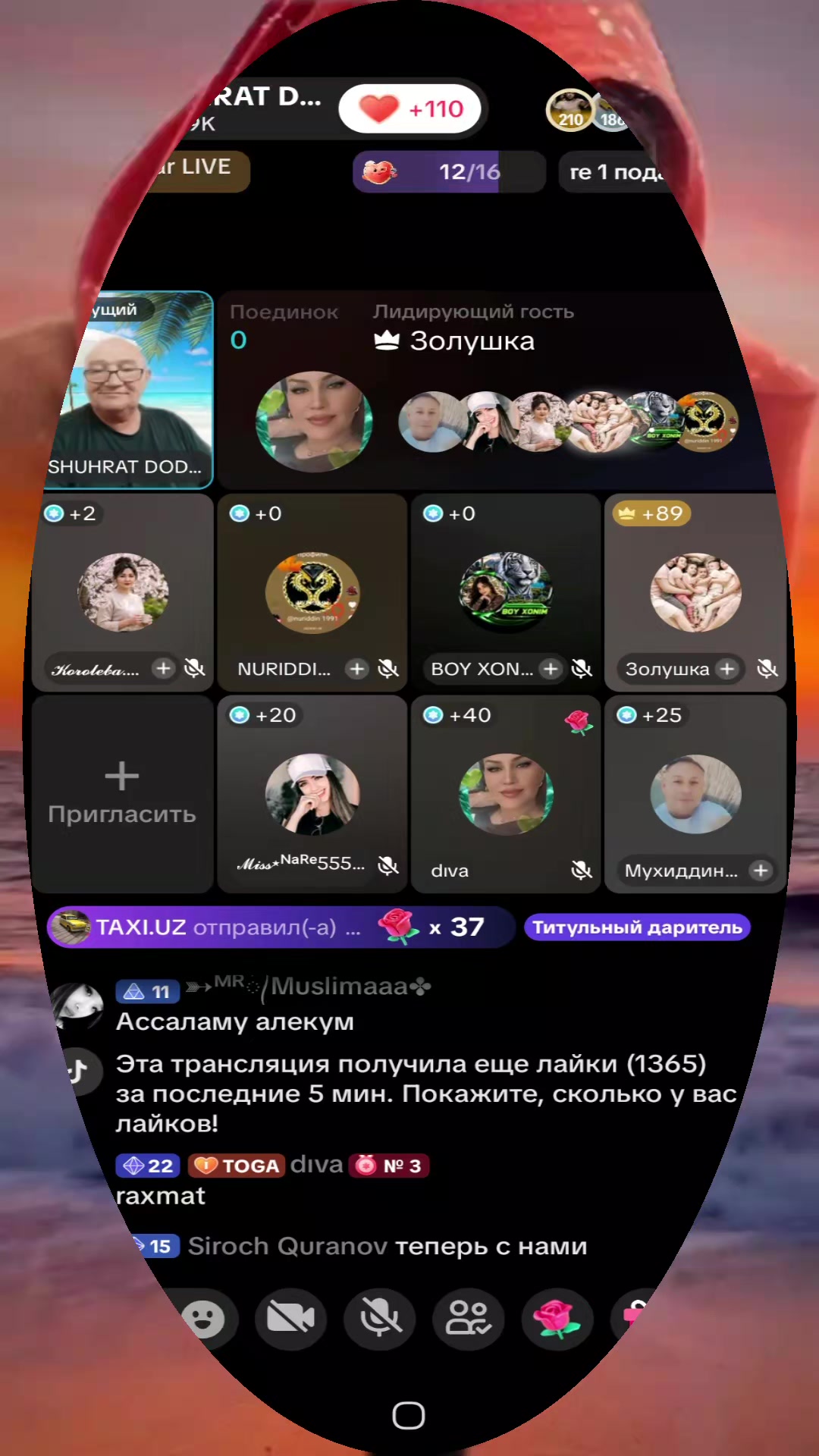 @dıva