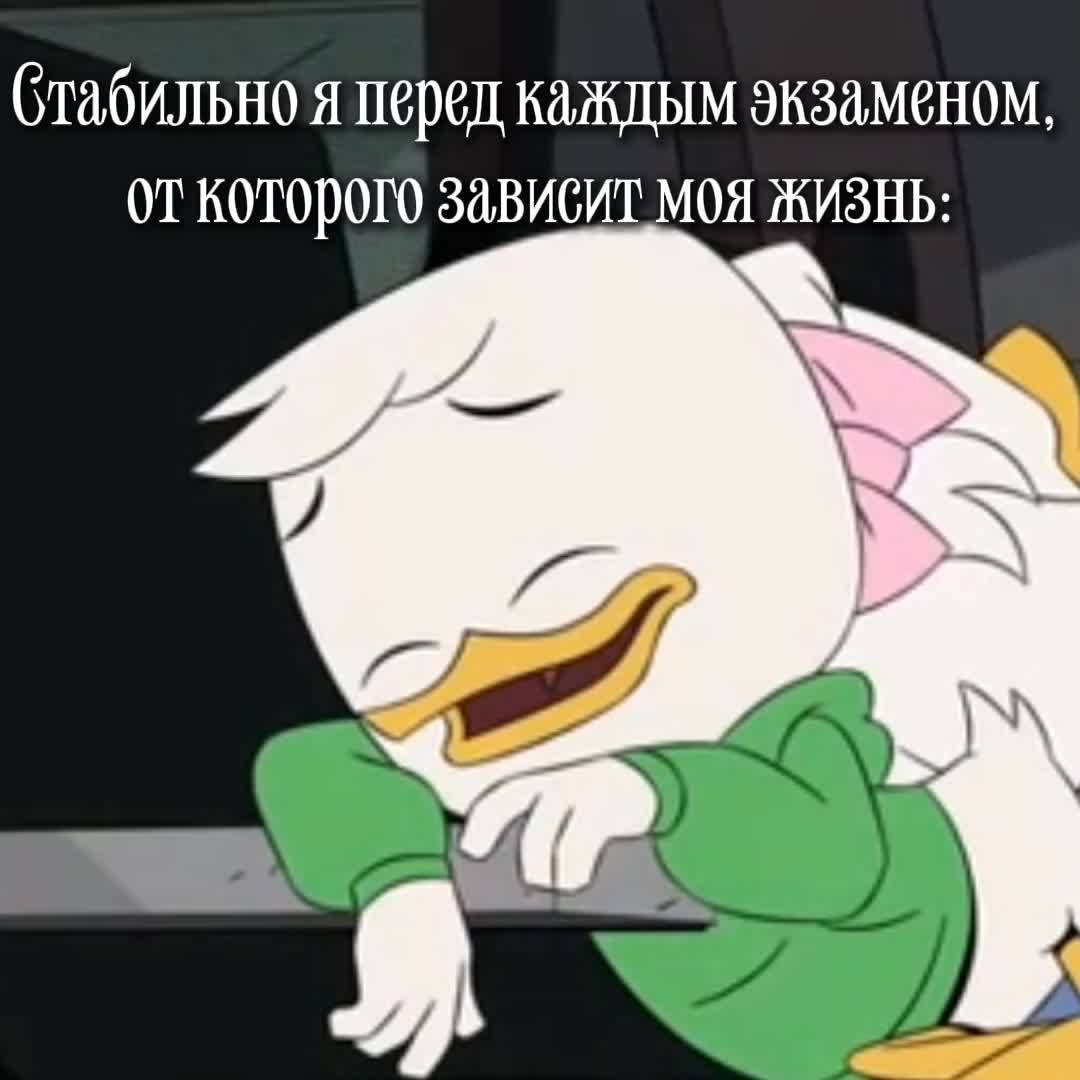 @Foxys-world