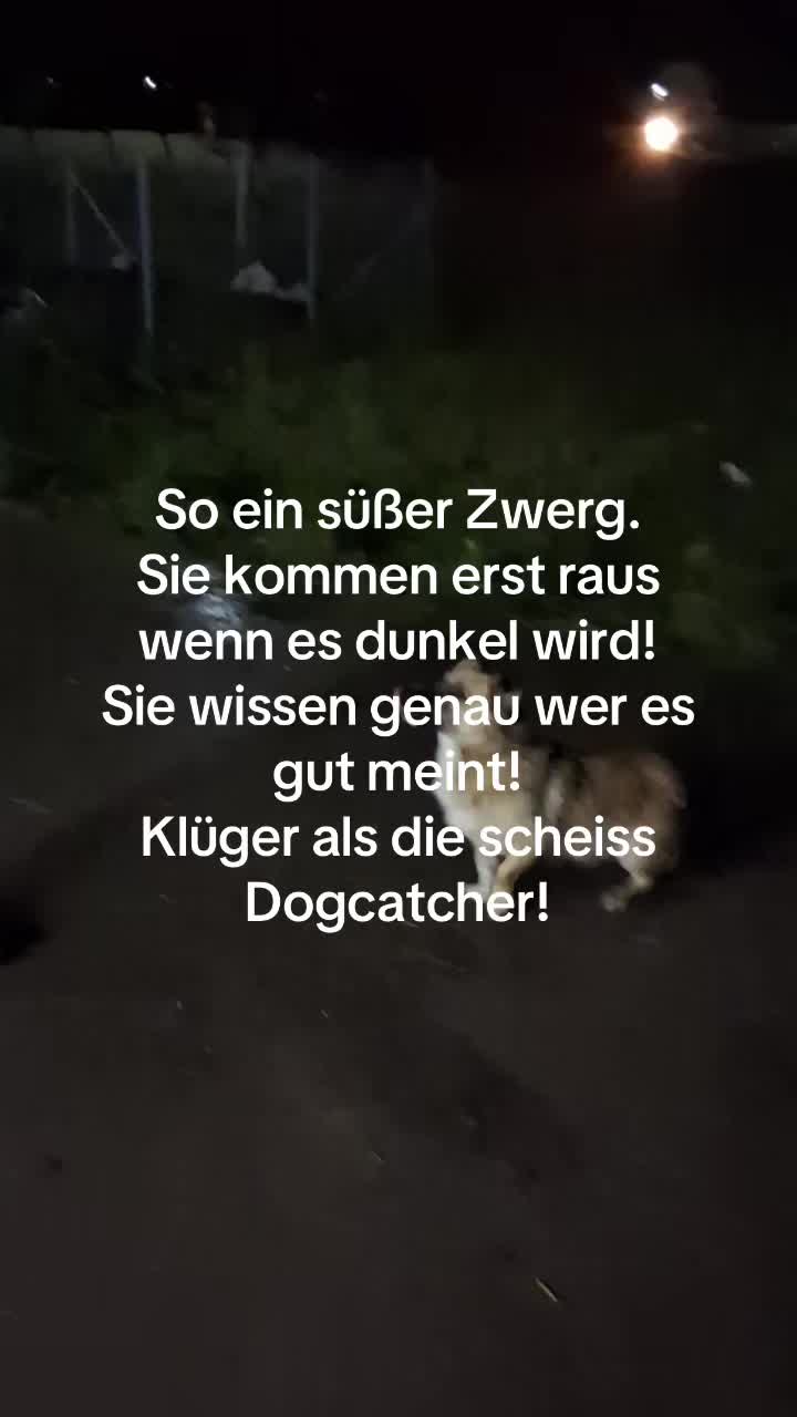 @Ju Schi