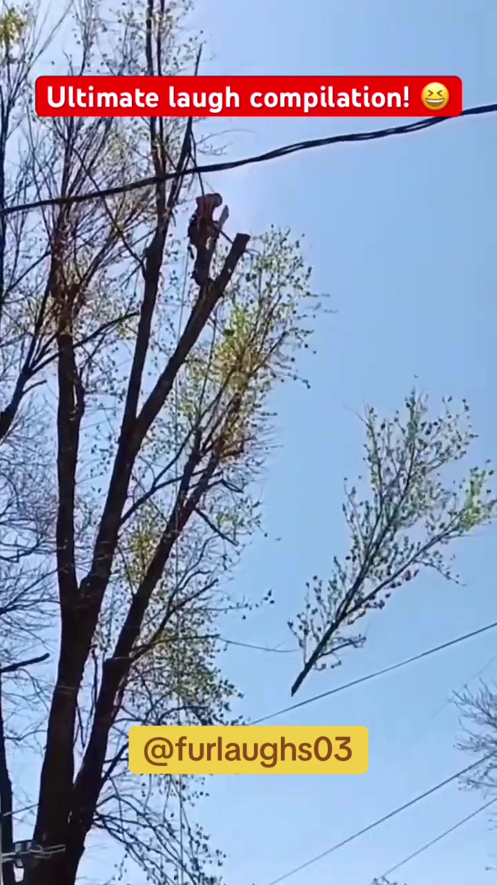 @furlaughs03