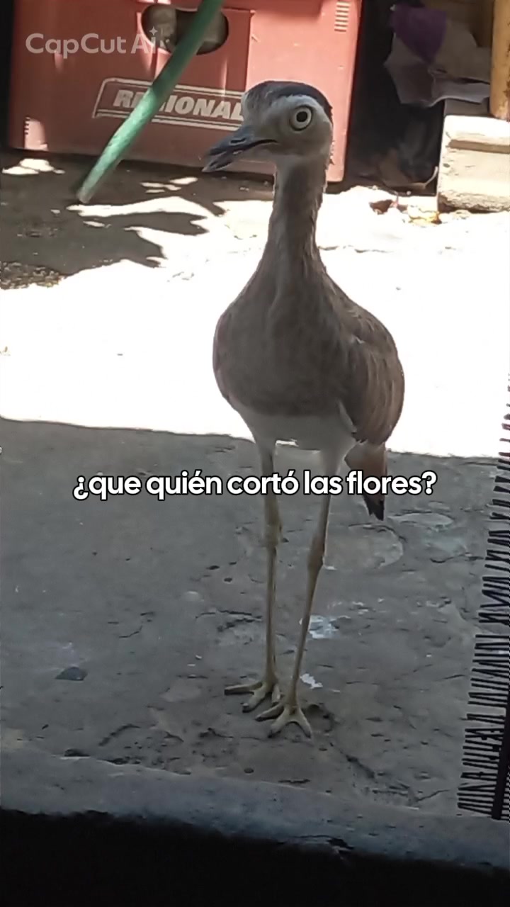@Alejandra 💜