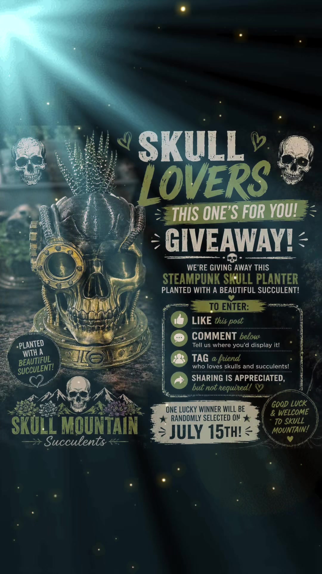 @Skull Mountain Succulents