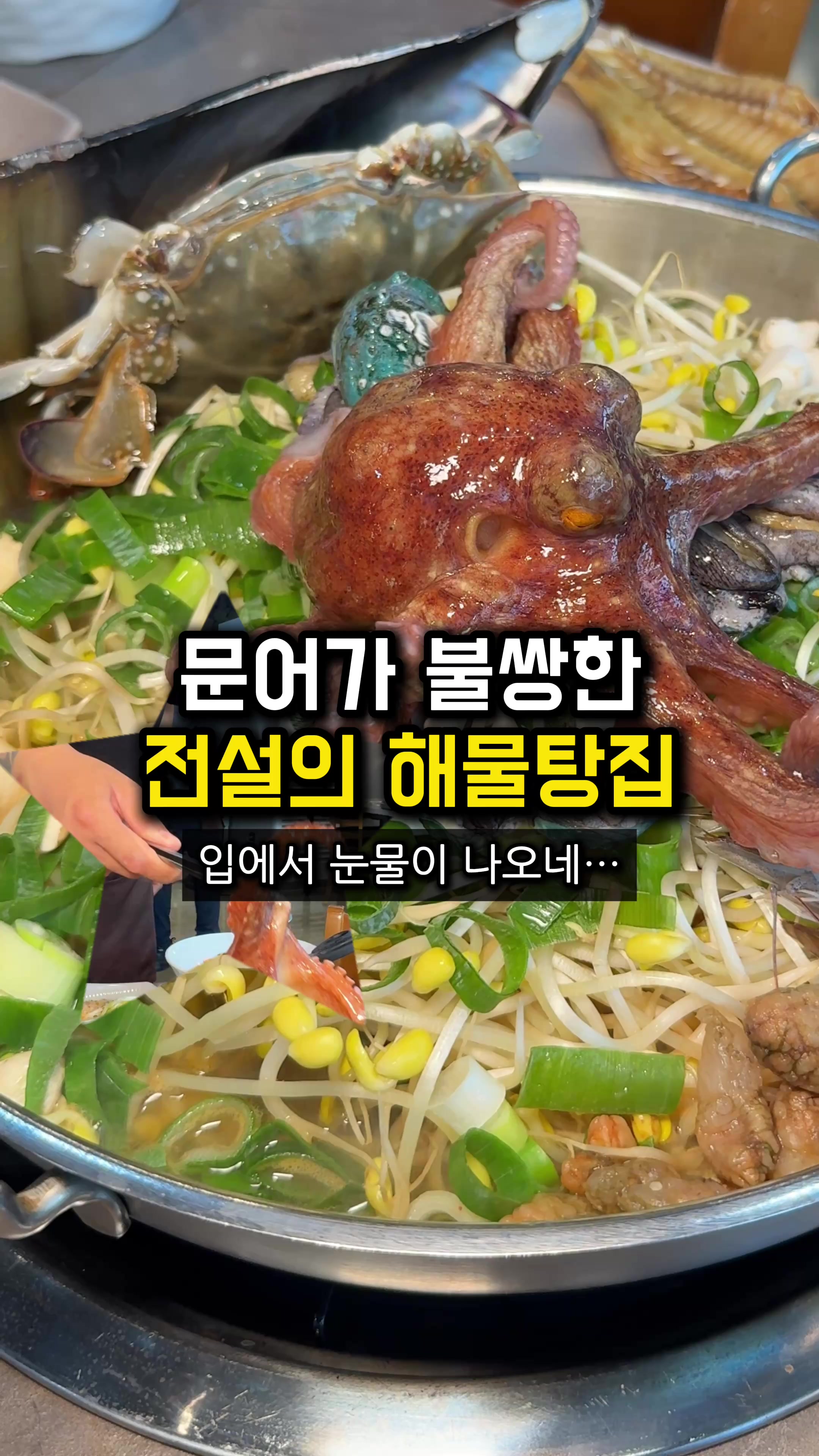 @food_kangchu