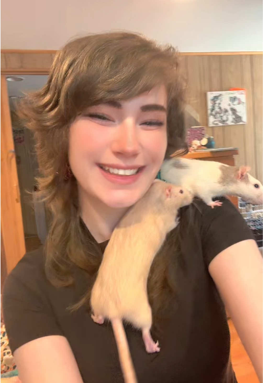 @lookatmyrodents