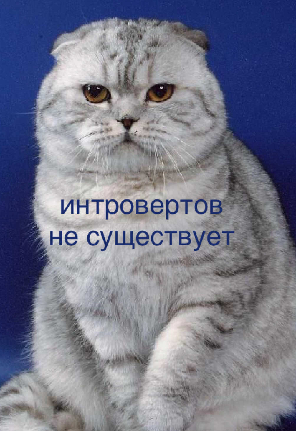 @мамин хep