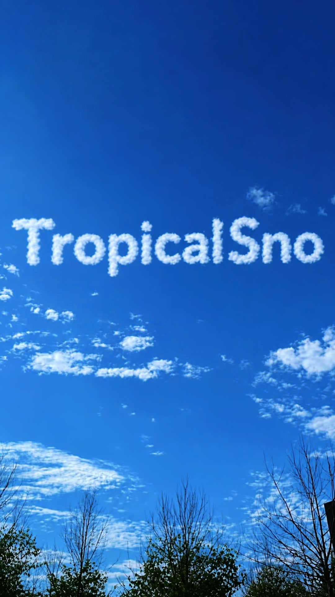 @Tropical Sno Edwardsville