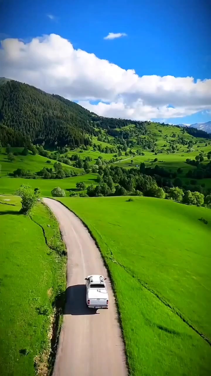 @Lionghoaho