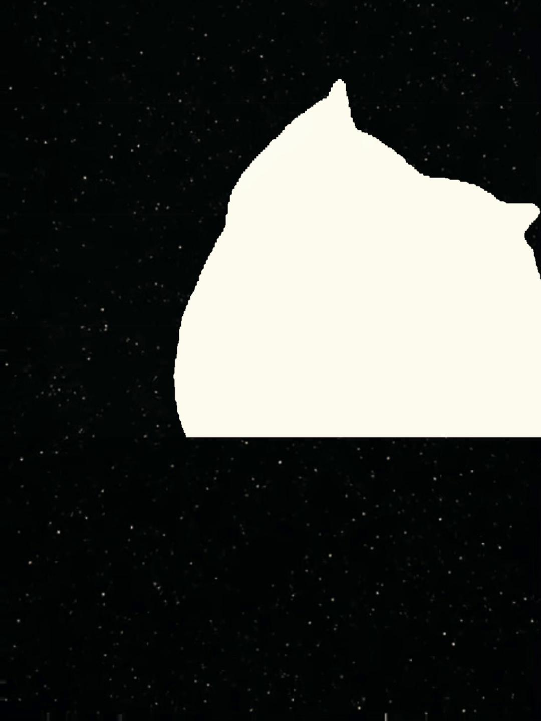 @🐈☦️✝️Cam✝️☦️😻
