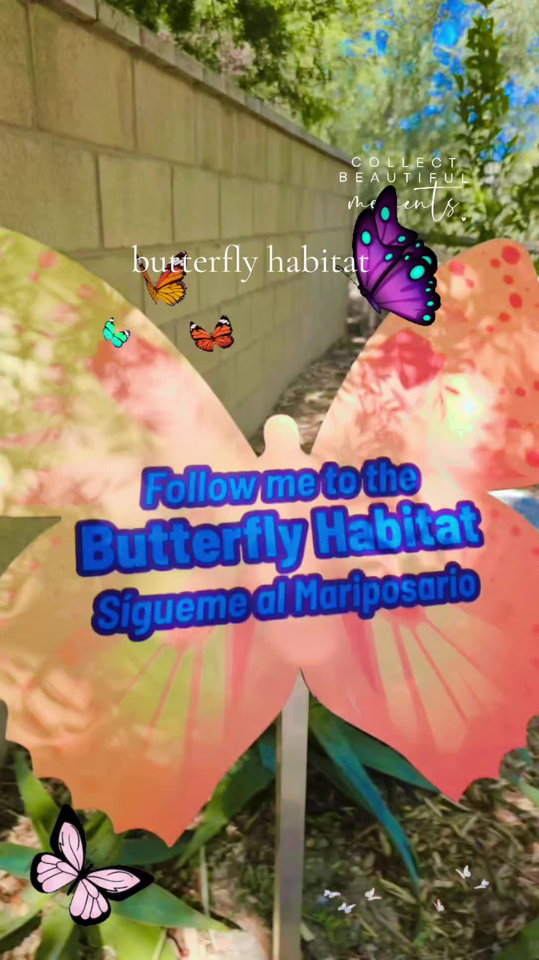@£va