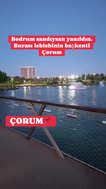 @Avrupadaki_Corumlular_19