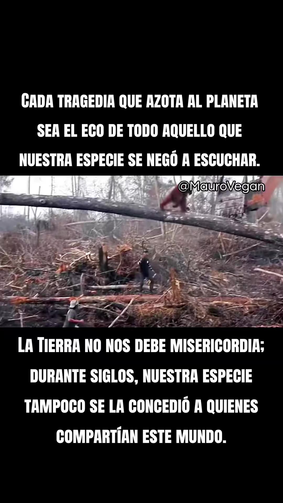 @Mauro Vegan🐑