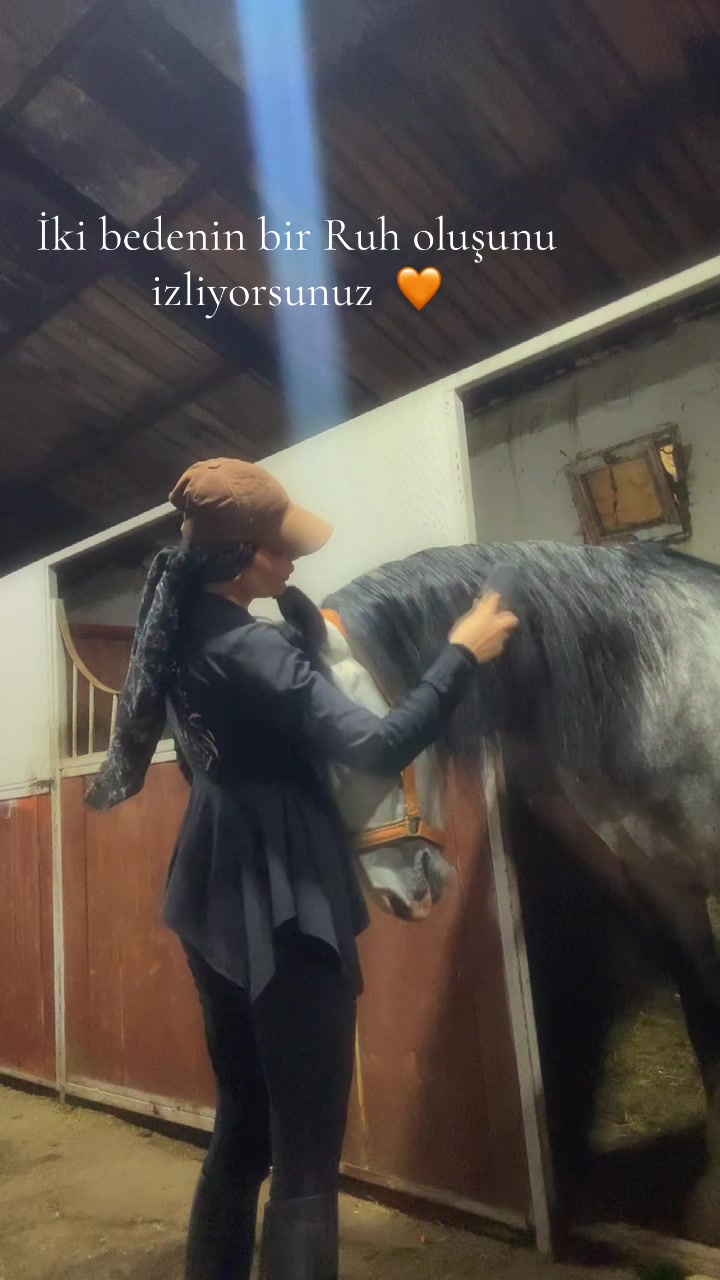 @HarzemŞah