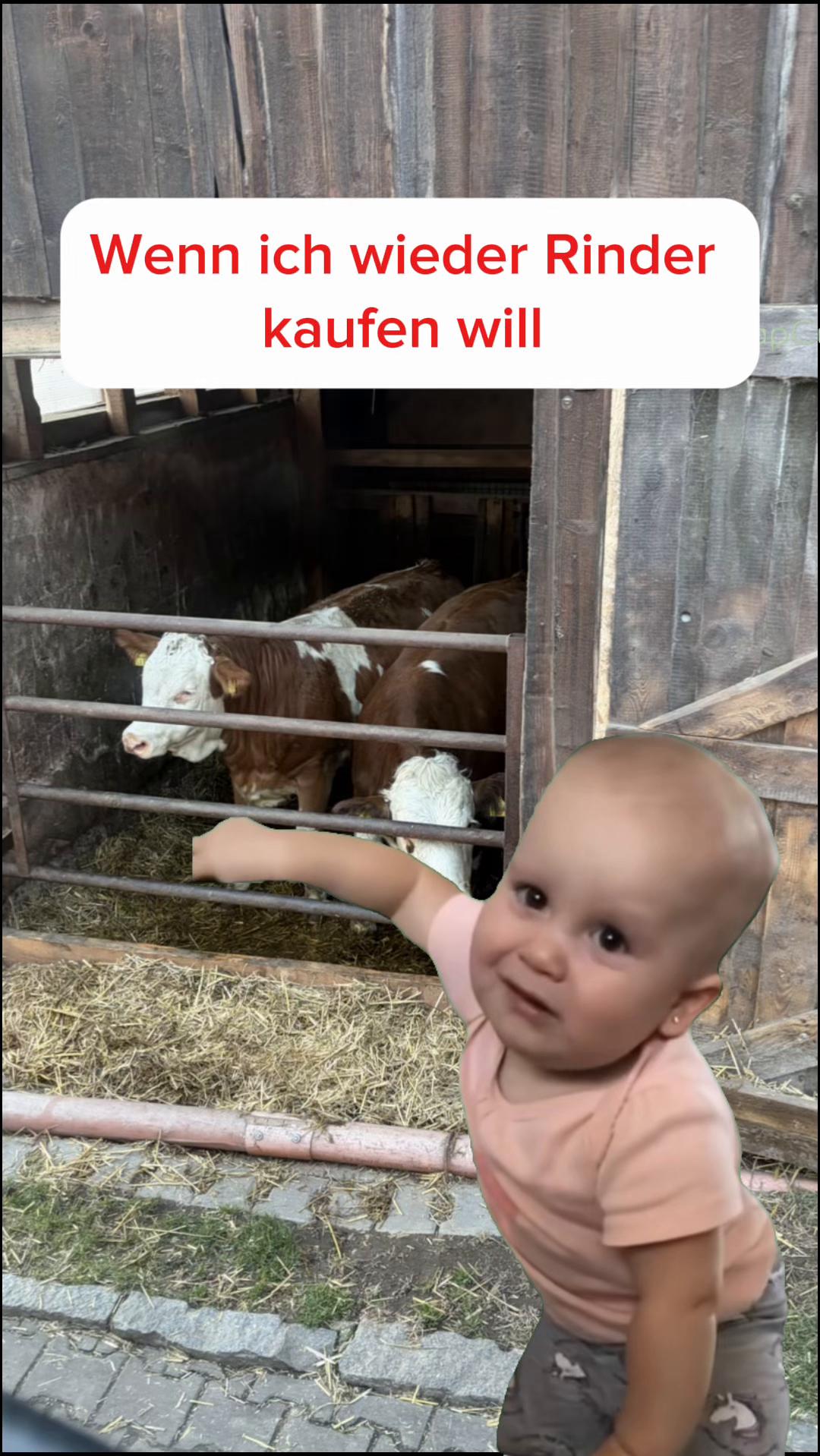 @Klaus-Eckl