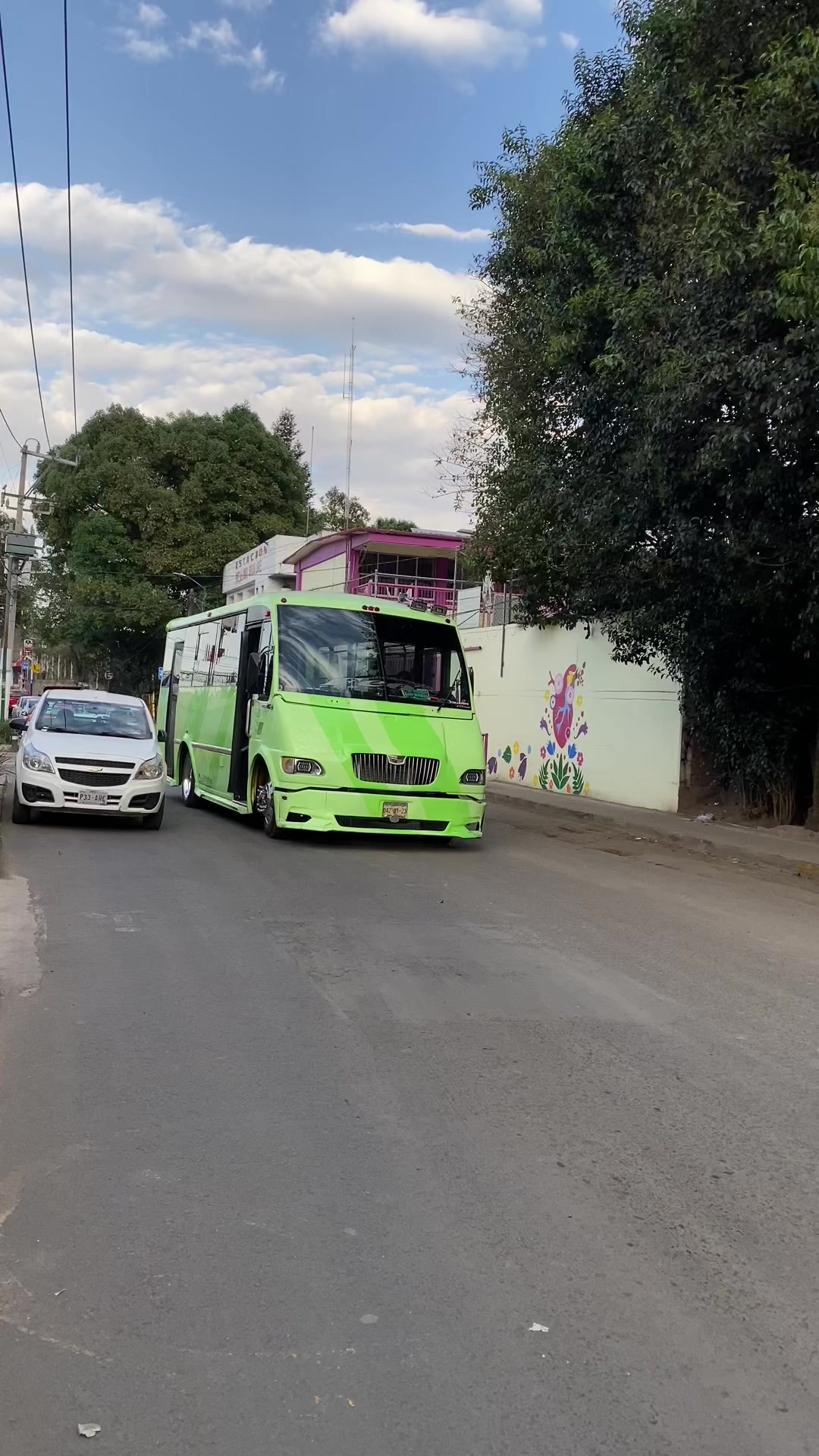 @BUSES ELEGANTES.🔥