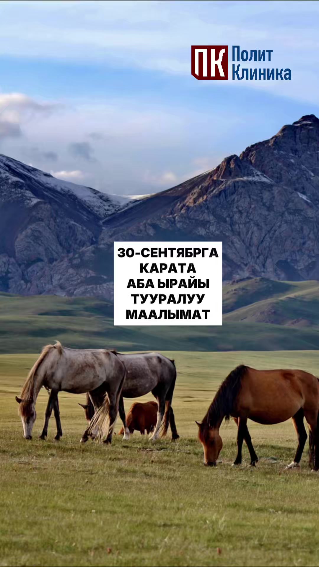 @politklinika