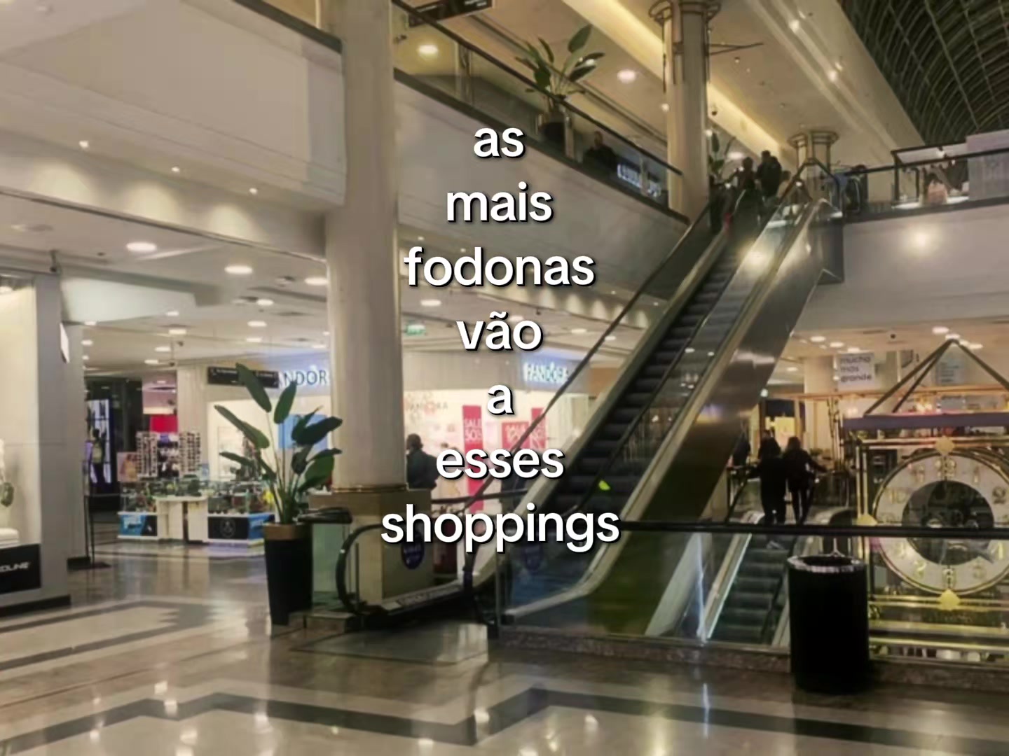 @Gu Roach