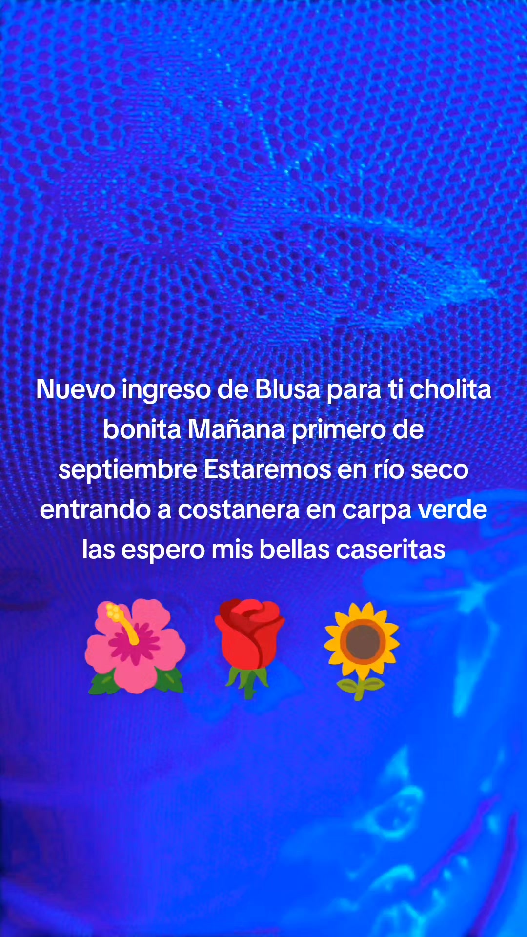 @Evelyn..C.H...🌹🦋