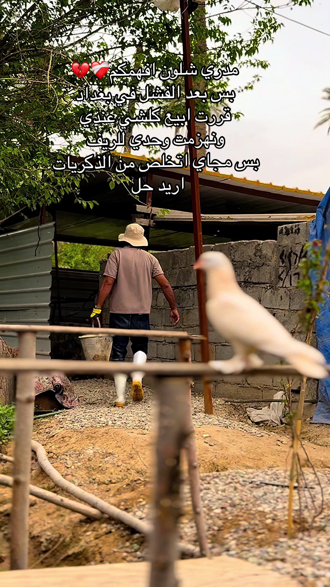 @د. بارق ( راعي الحلال )